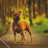 Staffordshire Bull Terrier Dog diamond painting