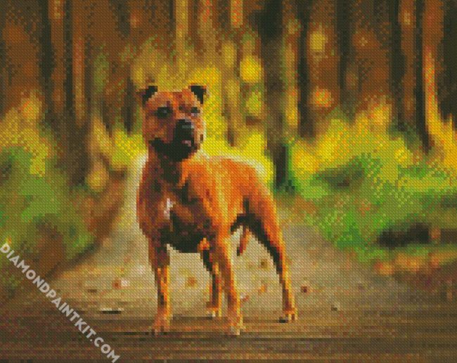 Staffordshire Bull Terrier Dog diamond painting