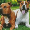 Staffordshire Bull Terrier Dogs diamond painting