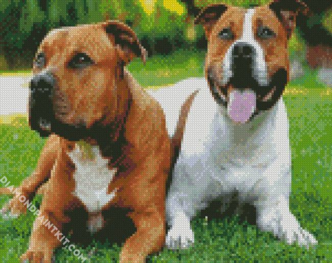 Staffordshire Bull Terrier Dogs diamond painting