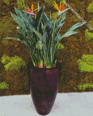 The Strelitzia Nicolai diamond painting