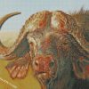 African Buffalo diamond paintings