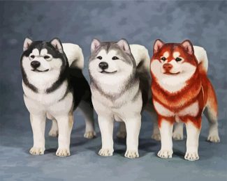 Alaskan malamute Dogs diamond painting