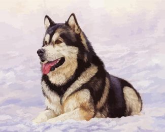 Alaskan malamute In Snow diamond painting