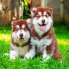 Alaskan malamute Puppies diamond painting