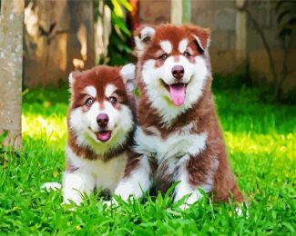 Alaskan malamute Puppies diamond painting