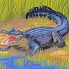 American Alligator diamond painting