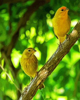 Atlantic Canary Birds diamond painting