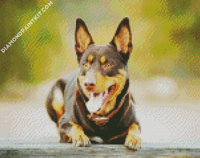 Australian Kelpie diamond painting