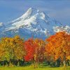 Autumn Mt Hood Oregon diamond painting