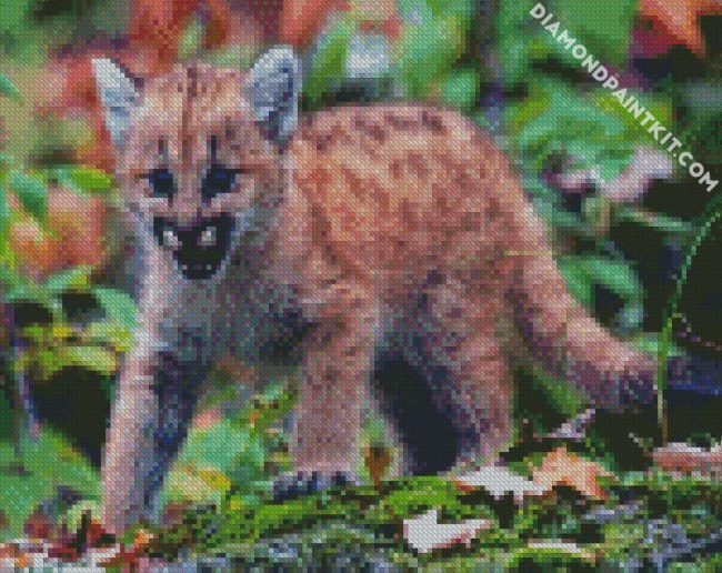 Baby Cougar diamond painting