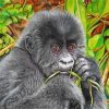 Baby Gorilla diamond painting