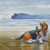 Basset At The Beach diamond paintings