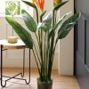 Bird Of Paradise Plant Pot diamond painting