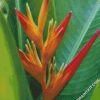 Bird Of Paradise Plant diamond painting