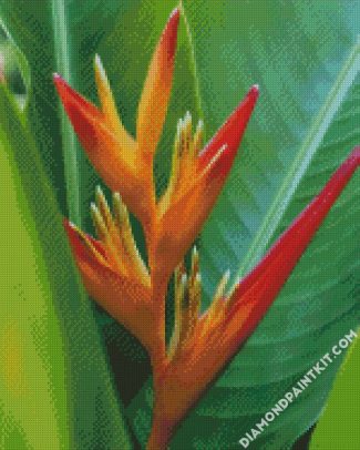 Bird Of Paradise Plant diamond painting