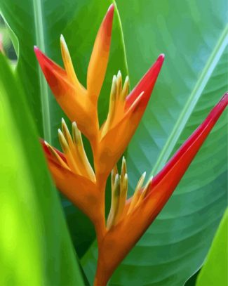 Bird Of Paradise Plant diamond painting