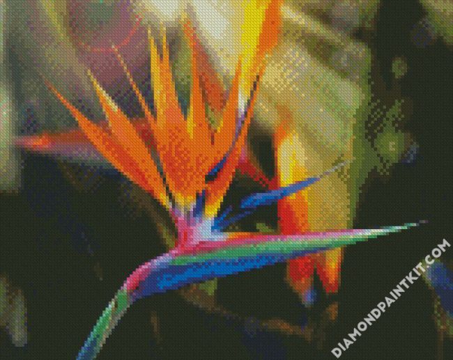 Bird Of Paradise diamond painting