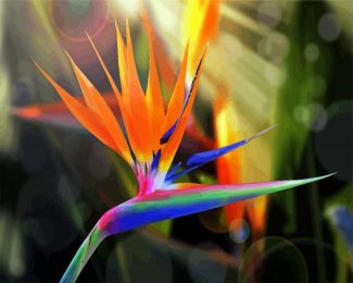 Bird Of Paradise diamond painting