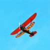 Black And Red Biplane diamond painting