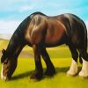 Black White Shire Horse diamond painting