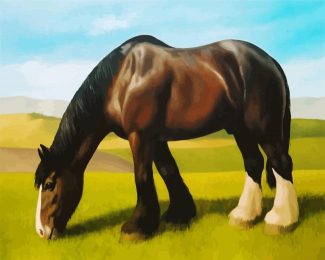 Black White Shire Horse diamond painting