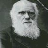 Black And White Charles Darwin diamond painting