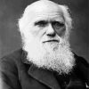 Black And White Charles Darwin diamond painting