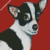 Black and White chihuahua diamond paintings