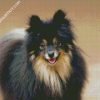 Black Pomeranian Dog diamond painting