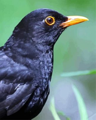 Blackbird Head diamond painting