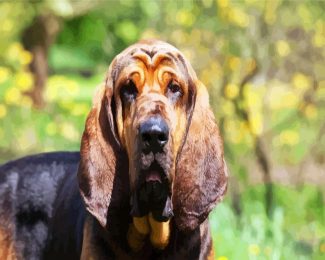 Bloodhound Dog diamond painting