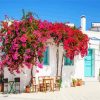 Blooming Bougainvillea Flowers diamond painting