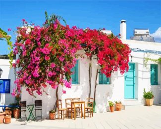 Blooming Bougainvillea Flowers diamond painting