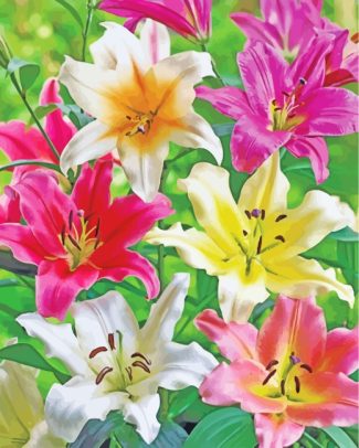 Blooming Colorful Lilies diamond painting