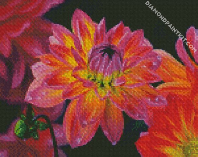 Blooming Dahlia Art diamond painting