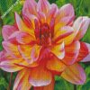 Blooming Dahlia diamond painting