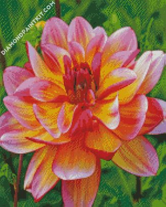 Blooming Dahlia diamond painting