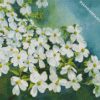 Blooming Dogwood diamond paintings