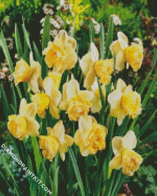 Blooming Daffodils Plant diamond painting