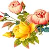 Botanical Flowers diamond painting