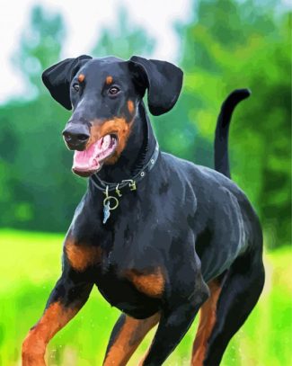 Breed Doberman Diamond paintings