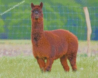 Brown Alpaca diamond paintings