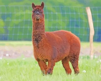 Brown Alpaca diamond painting