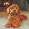 Brown Poodle Dog diamond painting