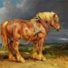 Brown Shire Horse diamond painting