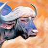 Buffalo Head diamond painting