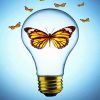 Butterfly Light Bulb diamond painting