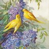 Canaries Birds diamond painting