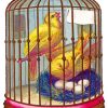 Canary Birds In Cage diamond painting